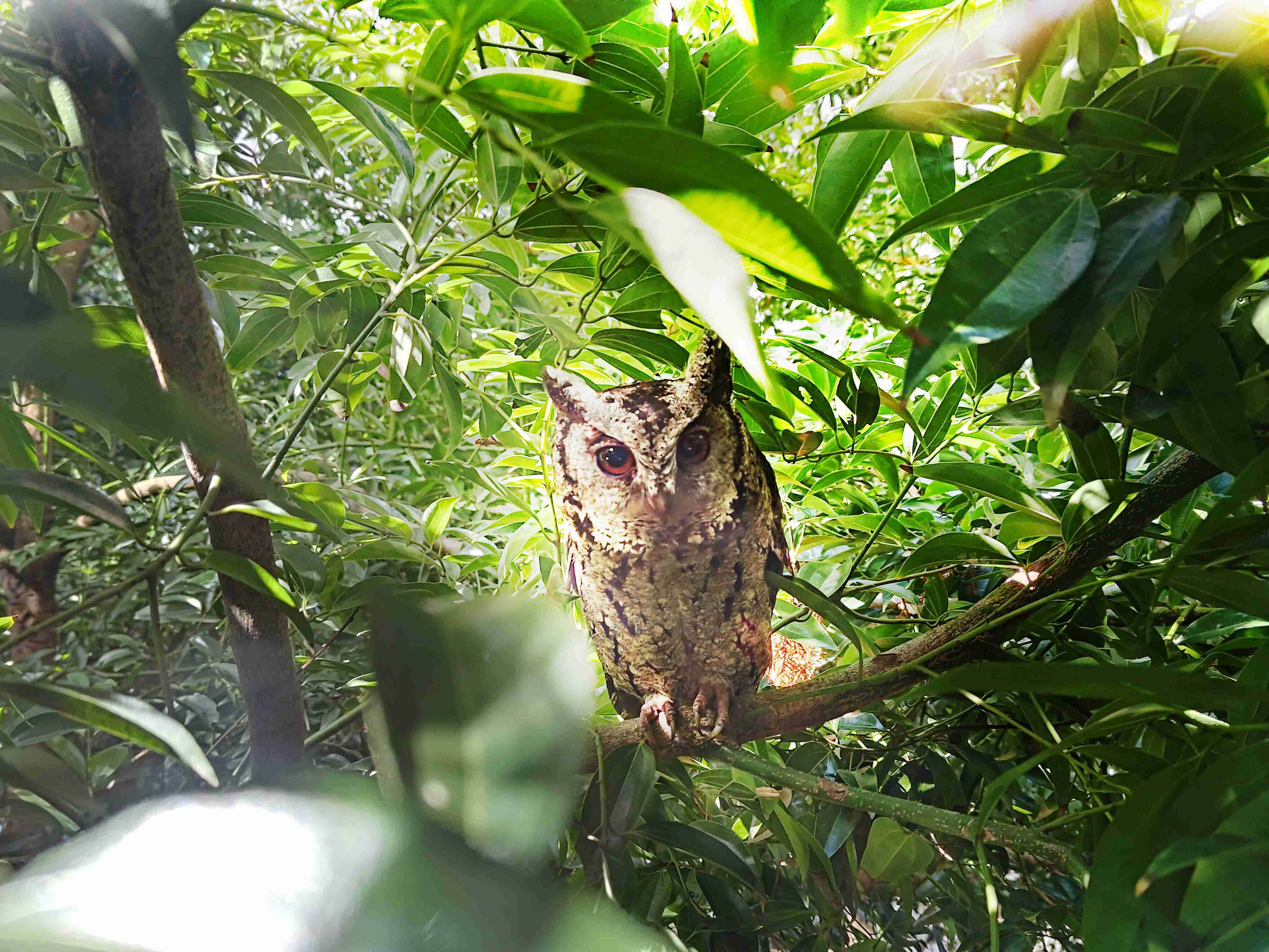 918.COM致力提倡净零绿生活，，，，16年以来在全球各厂区植树逾百万棵，，造就各厂区树木蔚然成林，，，，犹如森林工厂，，，，成为许多生物的栖息地